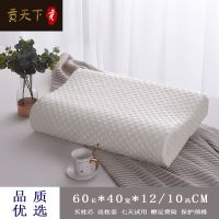 记忆枕头芯成人太空慢回弹记忆枕芯套装颈椎大人枕头乳胶枕橡胶枕 大号白泡泡 60*40*12/10cm