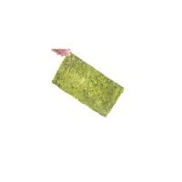 台湾饭团材料 半切海苔寿司材料 半切海苔紫菜包饭 寿司材料 半切海苔10张