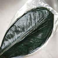 树叶盛器丹麦叶刺身寿司造型大冷菜盘饰热菜意境菜装饰干 绿色新鲜叶1包20片