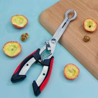 山楂去核器家用去山楂核神器冰糖葫芦制作工具钳子取核器取心神器 山楂去核器[送1个弹簧]