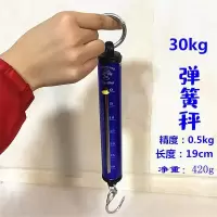 30kg50kg弹簧秤勾秤便携手提称老式计量称买菜秤机械弹簧称钩称 30kg手提弹簧秤