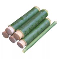 竹筒粽子模具端午包粽子神器家用蒸筒器皿商用竹筒饭蒸米饭的竹筒 3支体验装(送顶杆) 内径2.4-2.7