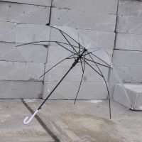 韩国ins原创可爱少女搞怪小猪猪黑胶防晒伞遮阳晴雨伞情侣雨伞 透明款