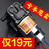 农用电动喷雾器电机水泵虎跃12v高压电喷雾器电喷壶配件抽水神器 活动款