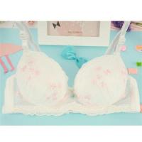 日系韩版蕾丝绣花性感无钢圈文胸套装小胸少女内衣女学生胸罩舒适 白花单件 32/70AB(通用)