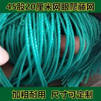 植物爬藤网瓜果网菜园围网家禽养鸡网尼龙防风网百香果吊瓜网农用 45股20厘米网眼 1.2米宽5米长