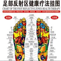 足部人体经络穴位图片足底反射区挂图脚部按摩标准穴位图中医养生