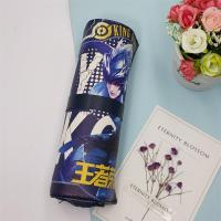 王者送荣耀笔帘卷笔袋大容量多功能铅笔袋男小学生文具盒初中生 C