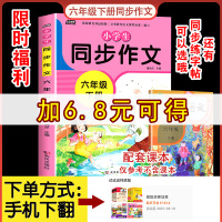 2021春新版通城学典非常课课通六年级下册语文部编人教版RJ版 小学6六年级下册同步讲解提优训练实验班辅导书教材全解全析