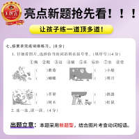 2021春新版二年级下册试卷王朝霞考点梳理时习卷期末模拟考试单元测试卷子语文同步训练习册部编人教版小学二年级下册试卷