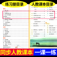 2021新版二年级下册看拼音写词语生字注音人教版小学2年级下学期语文教材同步练字帖拼音拼读训练练习册田字格天天练学习资料