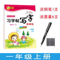 1-6年级语文同步人教版写字帖楷书小学生幼儿园儿童钢笔每日一练一二三四五六七上册下册练字本初学者正楷硬笔书法初中生临摹练