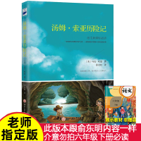 汤姆索亚历险记正版原著马克吐温六年级下册必读课外书非俞东明陈海庆译快乐读书吧浙江工商出版社初中生课外书余译少年儿童