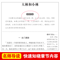 大林和小林三四五六年级必读课外书小学生正版原著张天翼著青少年人民儿童文学教育读物天地出版社初中阅读书目完整版名著老师推荐