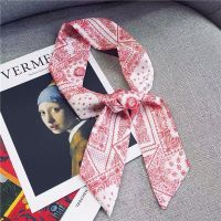 小丝巾女春秋韩国百搭细窄长条领巾围巾腰带飘带包包装饰ins丝带 小丝带-白红繁花