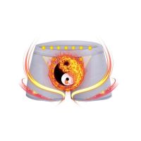 [用过都夸好]内裤男士平角四角成人大码根勃内裤磁疗抗菌裤头叉 灰色 [一条体验装] 2XL 110-140斤