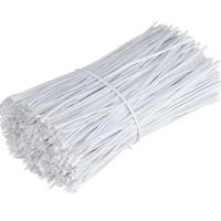 扎丝 0.8圆 1000条一包 包塑扎线园林园艺枝条绑铁芯扎带 白色 0.8圆 8厘米 1000条