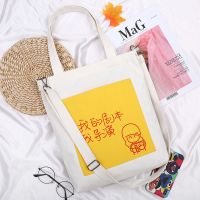 帆布包包女韩版学生斜挎包休闲百搭单肩手提大容量肩带可调节布袋 白包--外贴兜红色图案