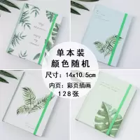少女心手账本套装笔记本子可爱韩版学生ins小清新diy手帐本活页 植物彩页手账本 手账本套装