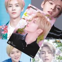 鹿晗应援大礼包全新专辑写真集歌词本送周边海报明信片卡片挂件 高清海报1套8张