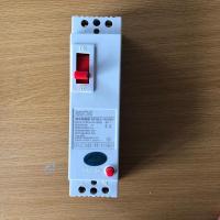 漏电保护器开关 DZ15LE二相漏电开关 三相四线断路器开关家用漏保 2相2线 漏电保护 40 安