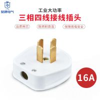 三相四线工业插头插座大功率16A/25A空调墙壁插座四孔86暗装插座 16A三相四线(插头)