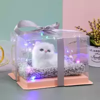 毕业送女生闺蜜创意猫咪特别走心男朋友学生姐妹有意义的生日礼物 小白猫 单子装