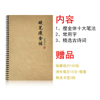 瘦金体硬笔字帖入门初学者笔划练习常用唐诗字帖钢笔成人学生字帖宋徽宗行楷临摹练字帖成年手写行书速成 瘦金体笔法+笔画+常用