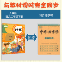 二年级下册同步字帖练字人教版小学2年级下语文写字练字帖生字词语硬笔书法临摹练习作业部编版抄写本每日一练一课一练中华好字帖