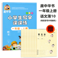 庞中华字帖小学生写字课课练一年级二年级三四五六年级上册下册语文英语课本同步楷书硬笔钢笔正楷临摹练字本 一上语文 赠练字本