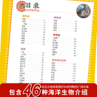 海洋动物百科大全书 大百科绘本注音科普小百科读物全套科学启蒙认知幼儿少儿儿童3-6-812岁海洋生物书籍dk海底动物世界