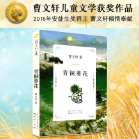 青铜葵花 曹文轩文集 草房子作者曹文轩作品 9-12-14岁儿童文学故事书 三四五六年级青少年课外书籍小学生成长小说 曹