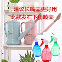 长嘴洒水壶塑料家用园艺养花工具浇水器盆栽浇花喷壶喷水壶花洒壶 果糖色圆形随机款[236ML