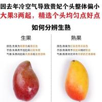 [贵妃芒]海南芒贵妃芒当季热带孕妇水果整箱5/10斤批发 [5斤净重]大果实惠