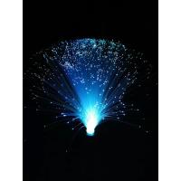 新款遥控款LED变色光纤满天星房间节日装饰卧室浪漫氛围灯 银底白光纤(电池遥控款)