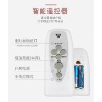 遥控器（需要遥控灯座配套才能使用） 单独遥控器