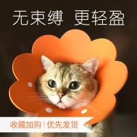 猫项圈伊丽莎白圈猫咪耻辱圈防舔头套猫咪猫软狗狗项圈宠物用品 橙色 S