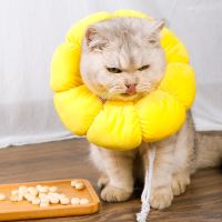 伊丽莎白圈猫咪伊利软项圈棉布宠物头套用品 太阳花棉项圈 XS[颈围10-20cm]