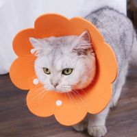 猫咪伊丽莎白圈项圈脖圈猫伊利沙白宠物头套防咬防舔耻辱圈用品 太阳花橙色项圈 S码/颈围16-20 体重1-5斤