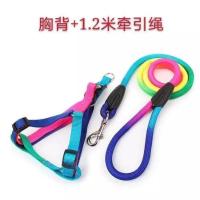 狗绳七彩牵引绳狗链子胸背带小型犬中型犬项圈泰迪遛狗绳可调节 1.2米七彩牵引绳+胸背两件套 S码建议1-6斤以内