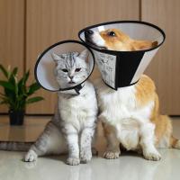 伊丽莎白圈猫咪狗狗脖套大型犬金毛猫绝育项圈用品防咬防舔圈头套 7号(颈围13-21CM的奶猫奶狗)
