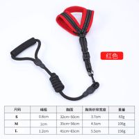 狗狗牵引绳中小型犬猫咪泡棉网格胸背带泰迪遛狗绳宠物狗绳狗链子 铃铛牵引绳胸背黑加红色 30-50cm(6-12斤）S号