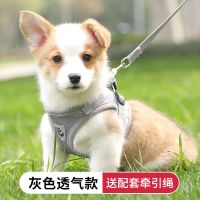 背心式狗狗牵引绳小型犬胸背带泰迪柯基小狗幼犬狗链子遛狗绳胸背 灰色透气款(送牵引绳) S-小型（适合3-5斤宠物）