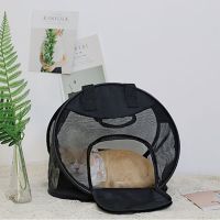 猫包狗背包宠物旅行包透气猫咪外出便携手提单肩猫笼猫书包可折叠 三圆 小号(建议10斤内宠物)