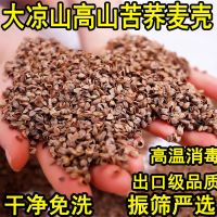 特级苦荞麦壳散装10斤免洗天然荞麦皮枕头枕芯填充物安神助眠枕头 3斤大凉山出口级苦荞麦壳