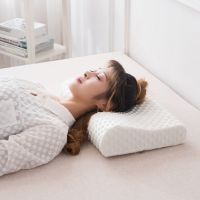 枕头成人护颈枕头套装颈椎枕头芯慢回弹记忆枕颈椎枕头颈椎专用 经济型白色(枕芯+白泡泡枕套)