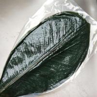 丹麦叶刺身寿司造型大树叶冷菜盘饰热菜盛器意境菜装饰干树叶 绿色新鲜叶1包20片