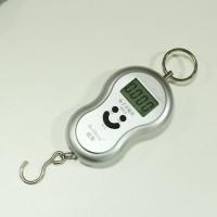 威衡中文手提称弹簧称吊钩秤40KG/10G便携挂秤电子秤葫芦秤 英文 银色