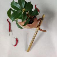 横笛黄竹笛初学专用初学笛学生笛子儿童成人乐器 33cm小竖笛