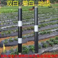 加厚地膜农用双白单白黑色薄膜种植育苗除草防虫保温保湿大棚农膜 双白0.9*500米1S-9斤